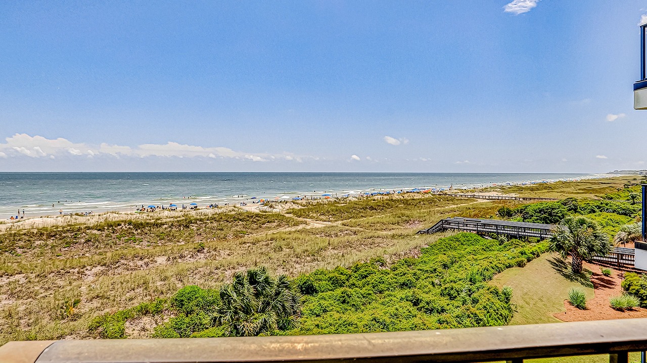 Photo of Outdoor in Folly Field