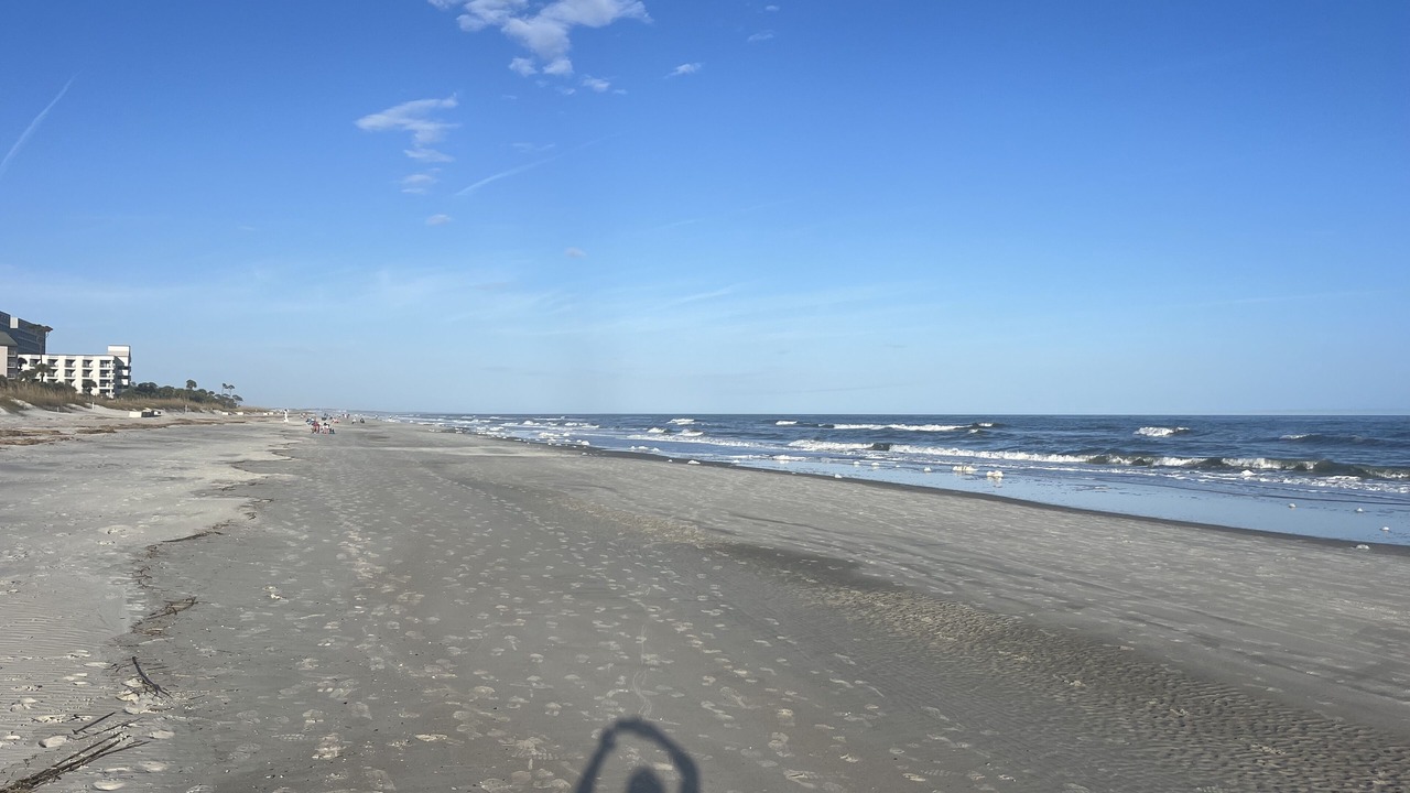 Photo of Others in Palmetto Dunes
