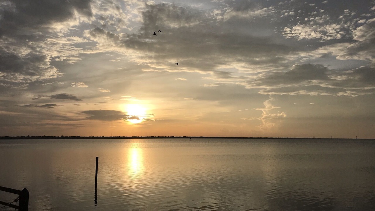 Photo of Others in Hutchinson Island South