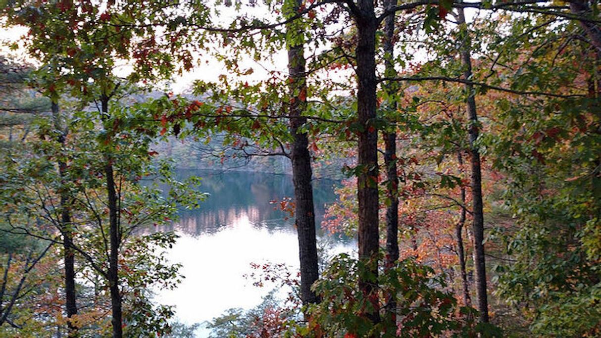 Photo of Others in Tuckasegee