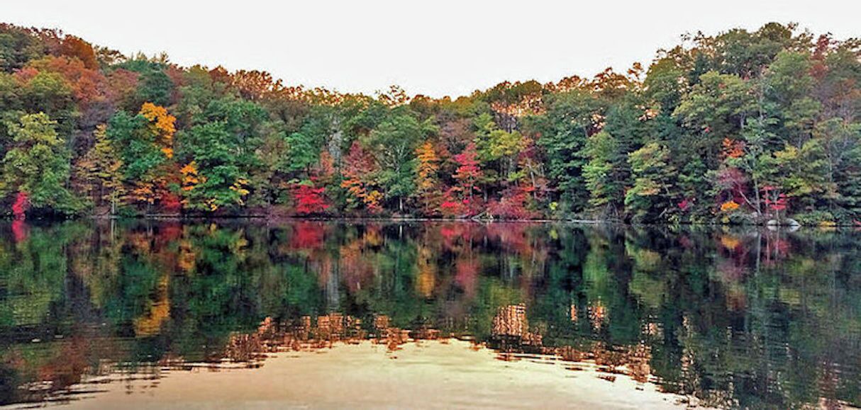 Photo of Outdoor in Tuckasegee