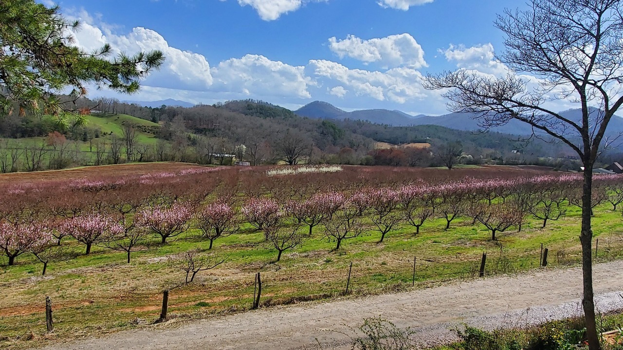 Photo of Outdoor in Franklin