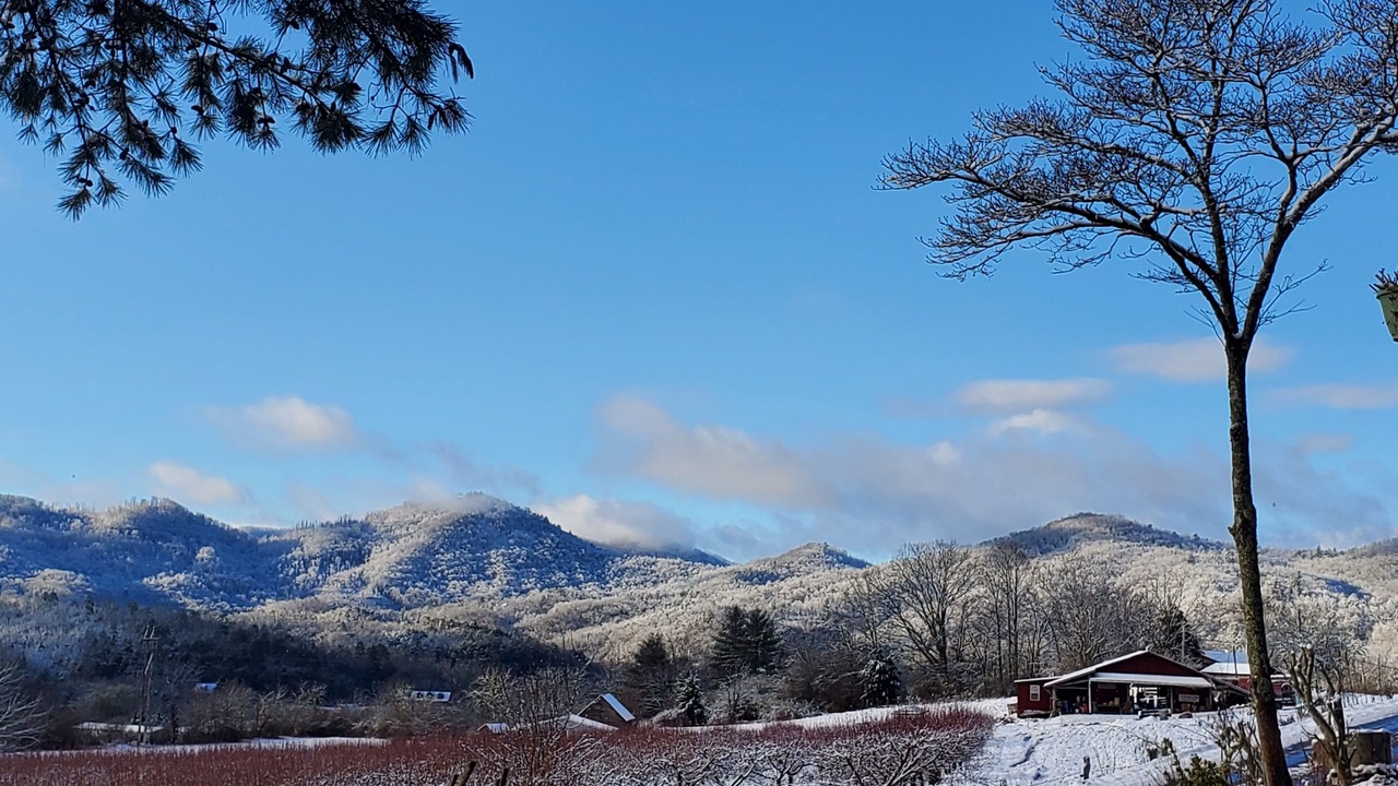 Photo of Outdoor in Franklin