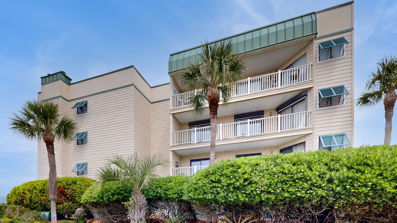 Photo of Outdoor in Edisto Island