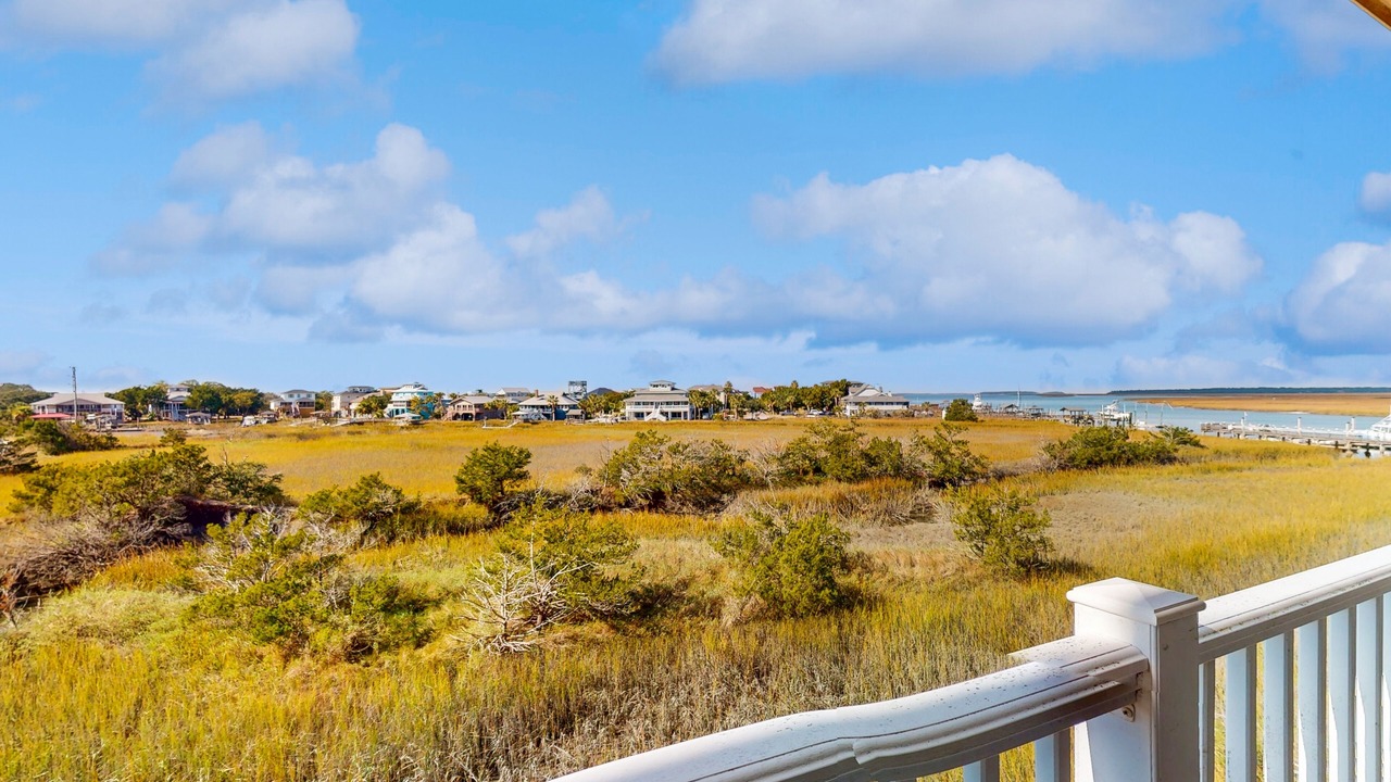 Photo of Outdoor in Edisto Island