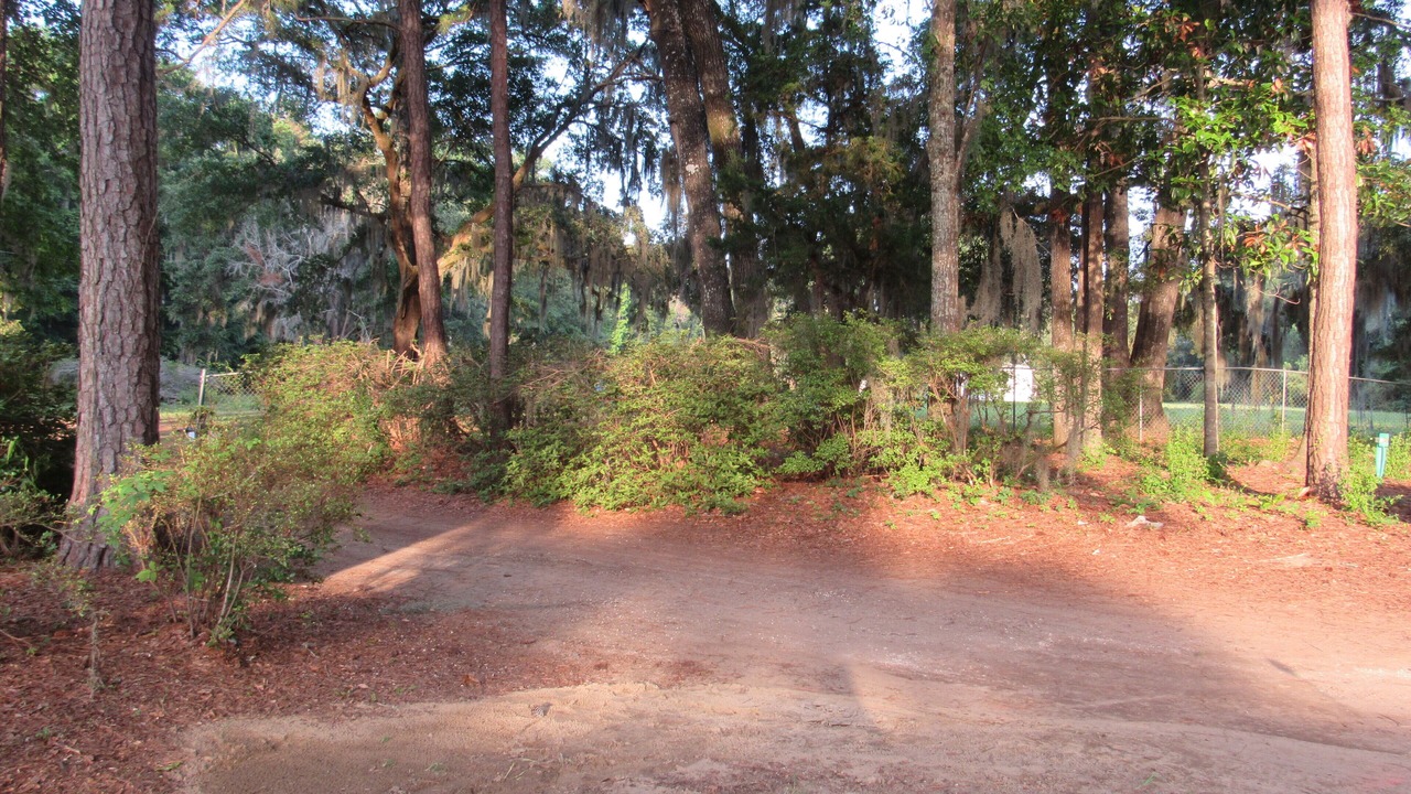 Photo of Outdoor in Johns Island
