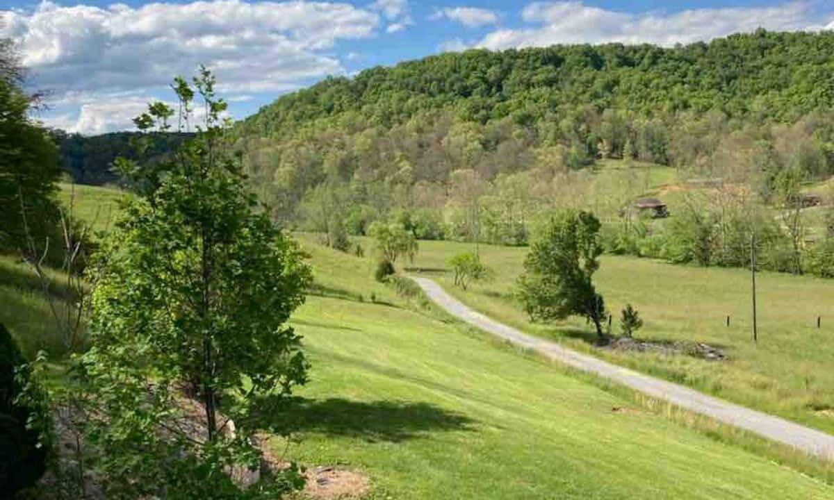 Photo of Outdoor in Rogersville