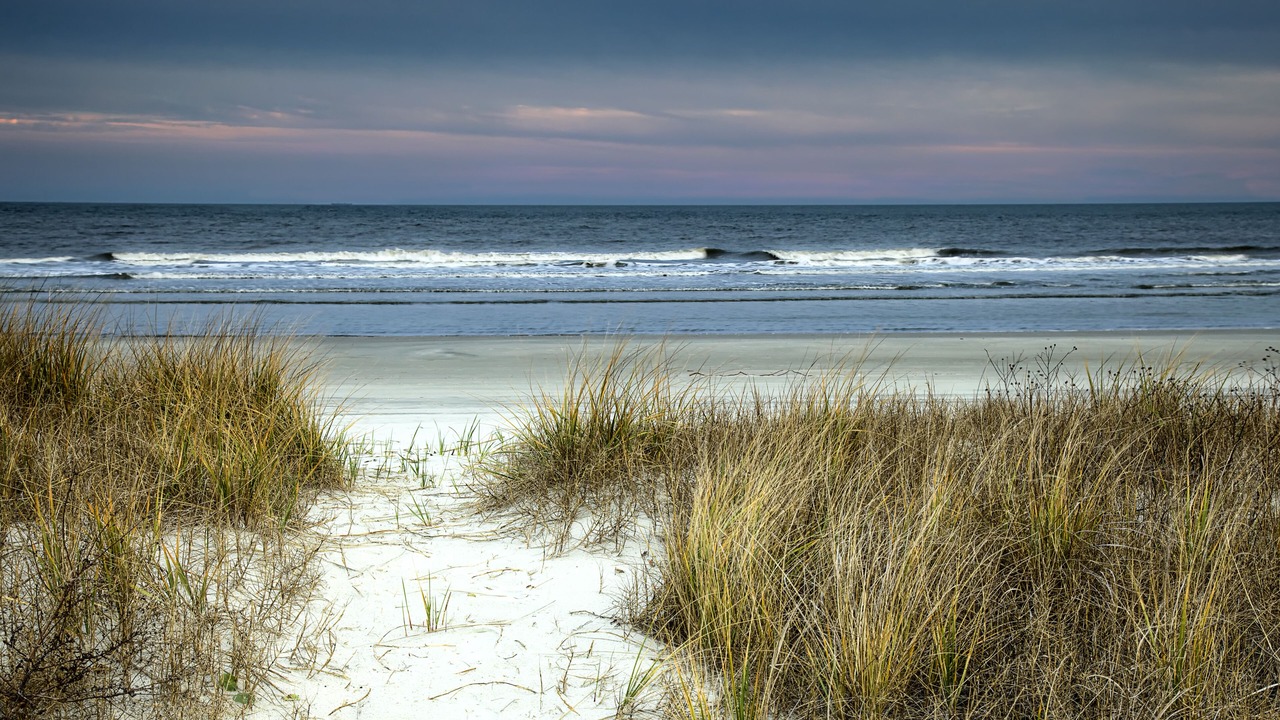 Photo of Others in Hilton Head Island