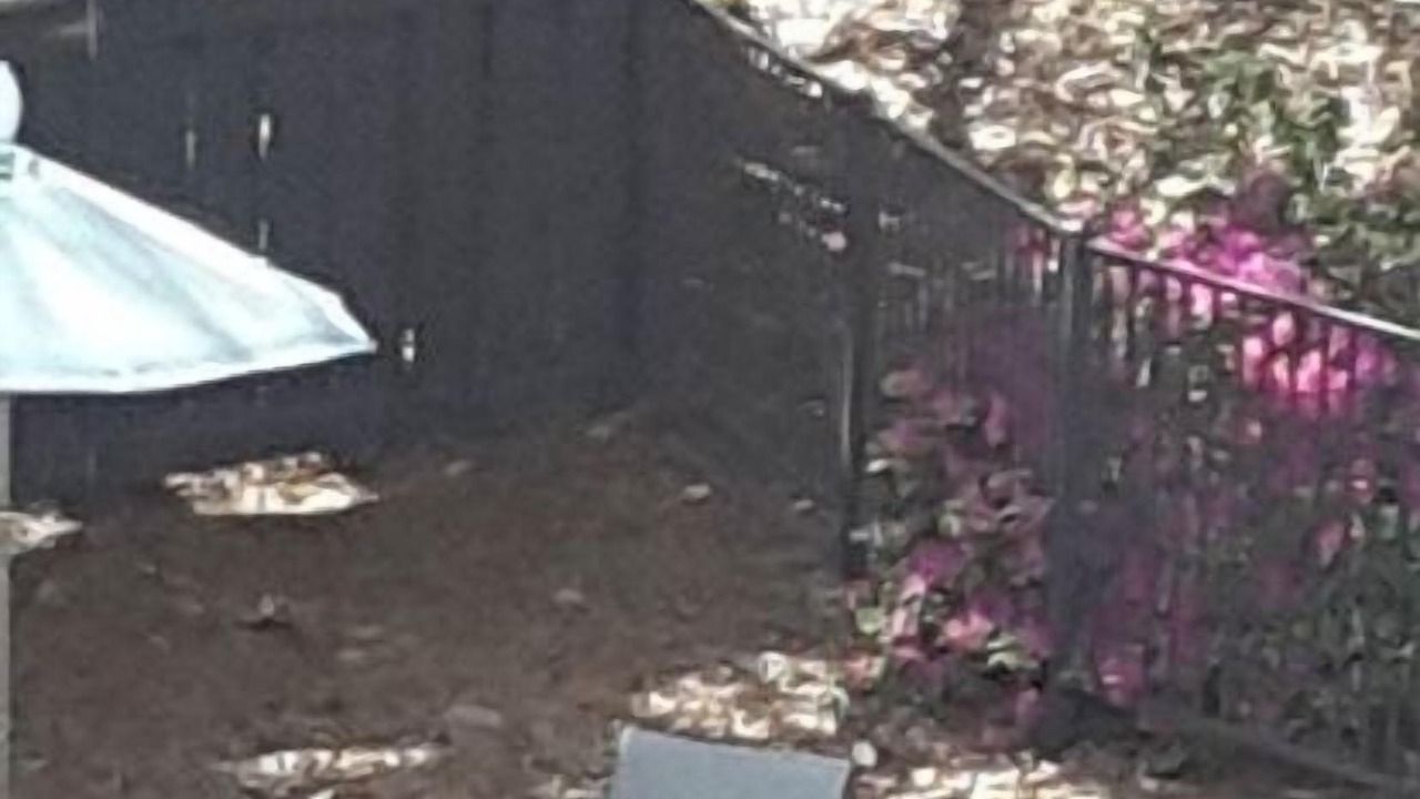 Photo of Outdoor in Shipyard Plantation