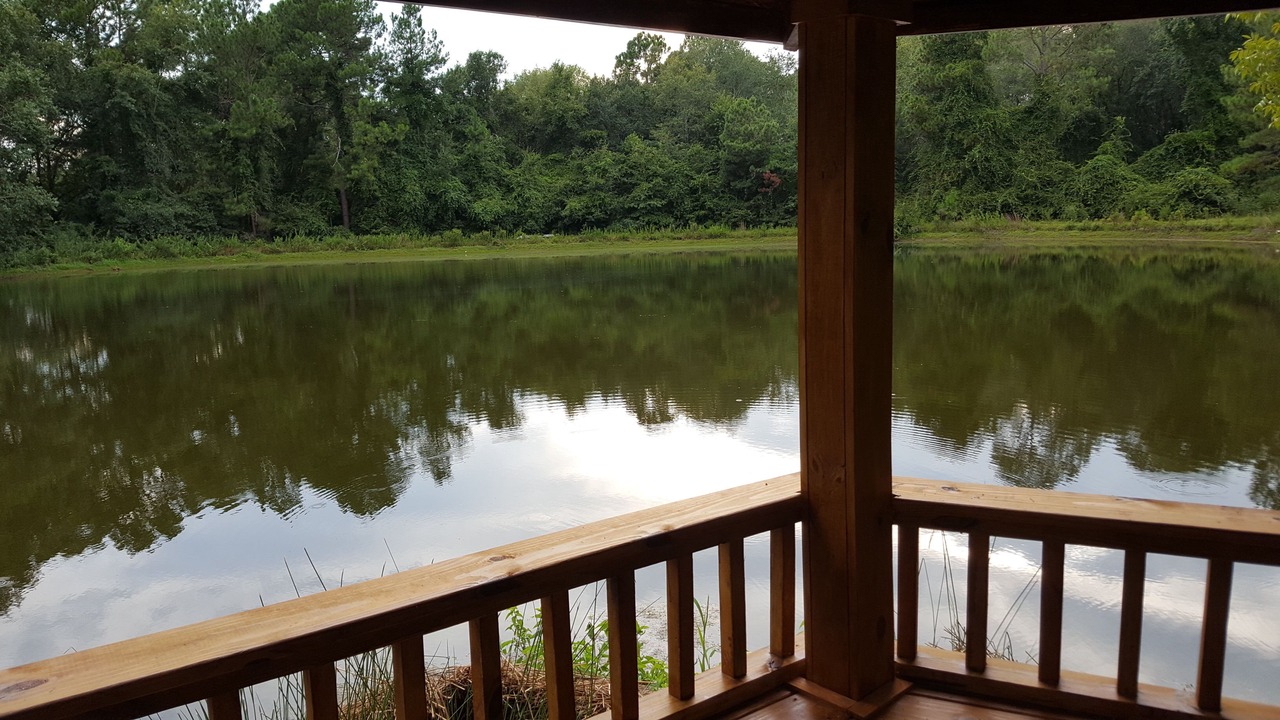 Photo of Outdoor in Ashburn