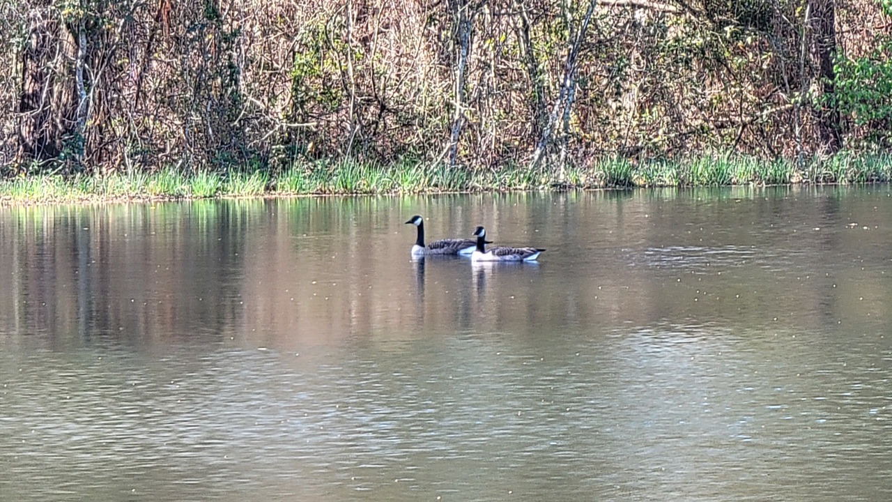 Photo of Outdoor in Ashburn