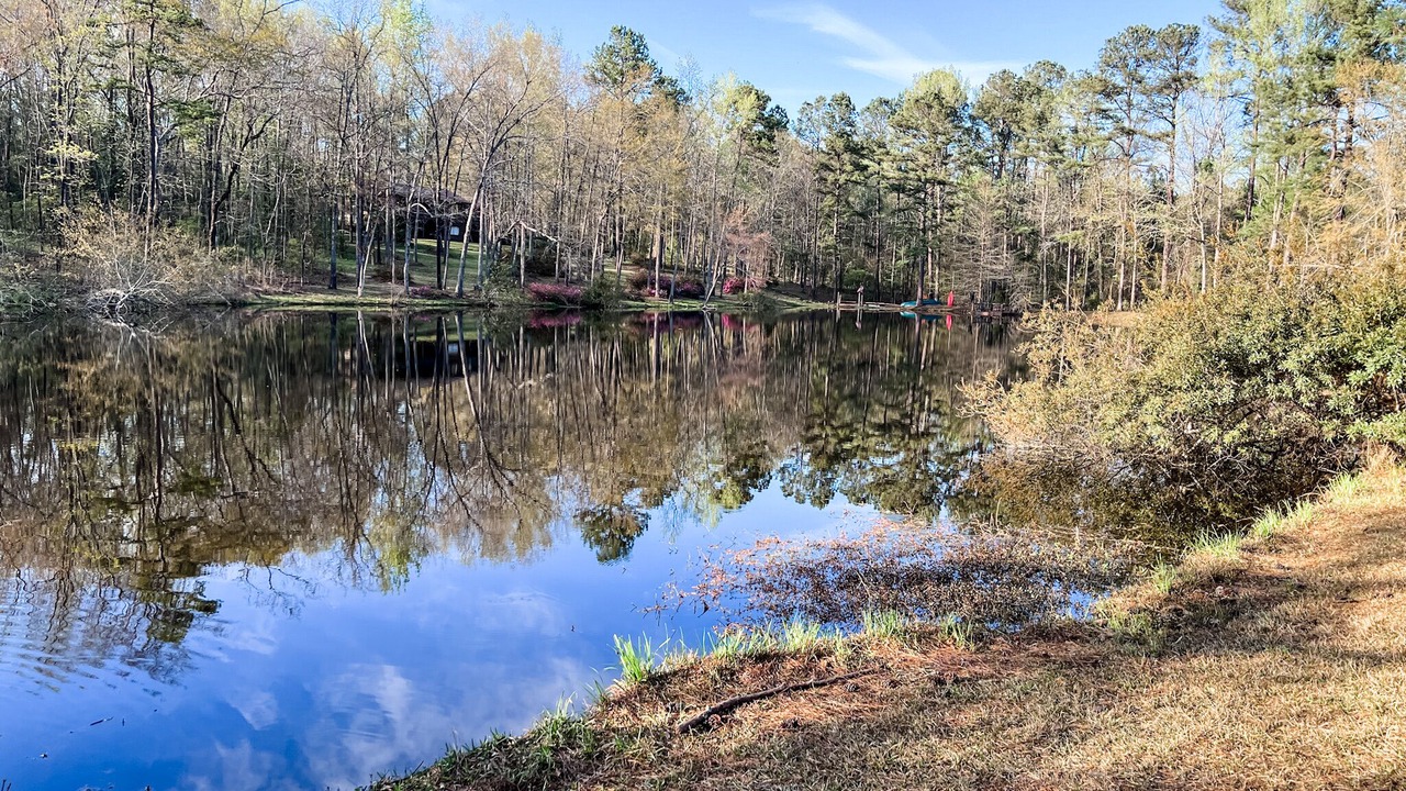 Photo of Outdoor in Evans