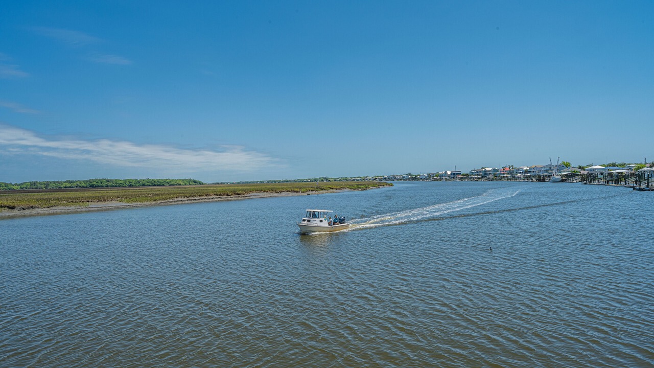 Photo of Others in Edisto Island