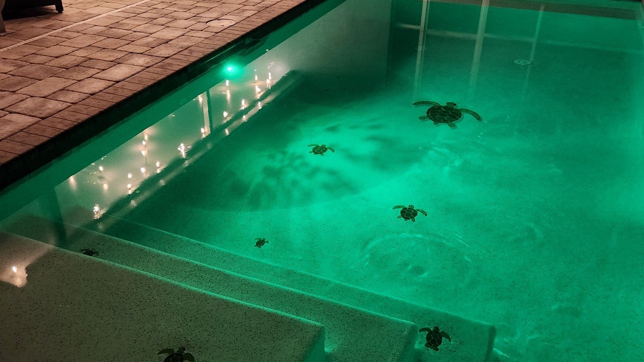 Photo of Outdoor in Trafalgar