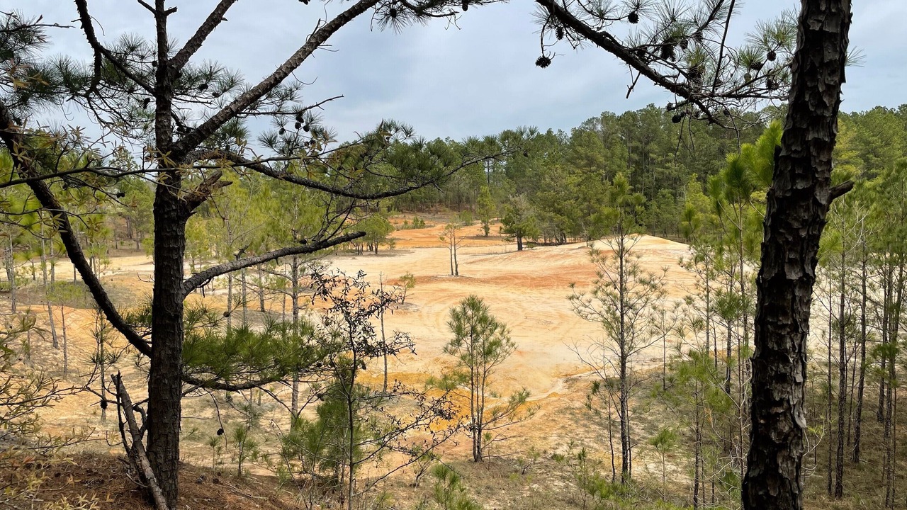 Photo of Outdoor in Aiken