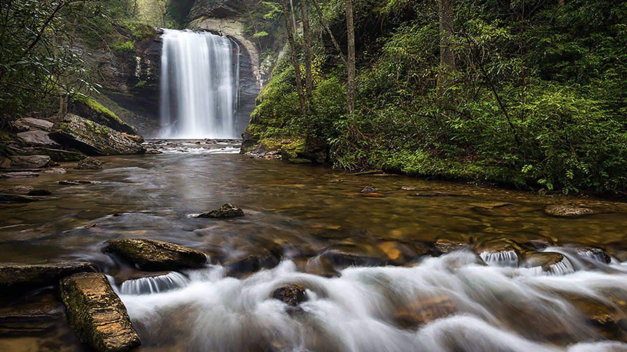 Photo of Outdoor in Brevard