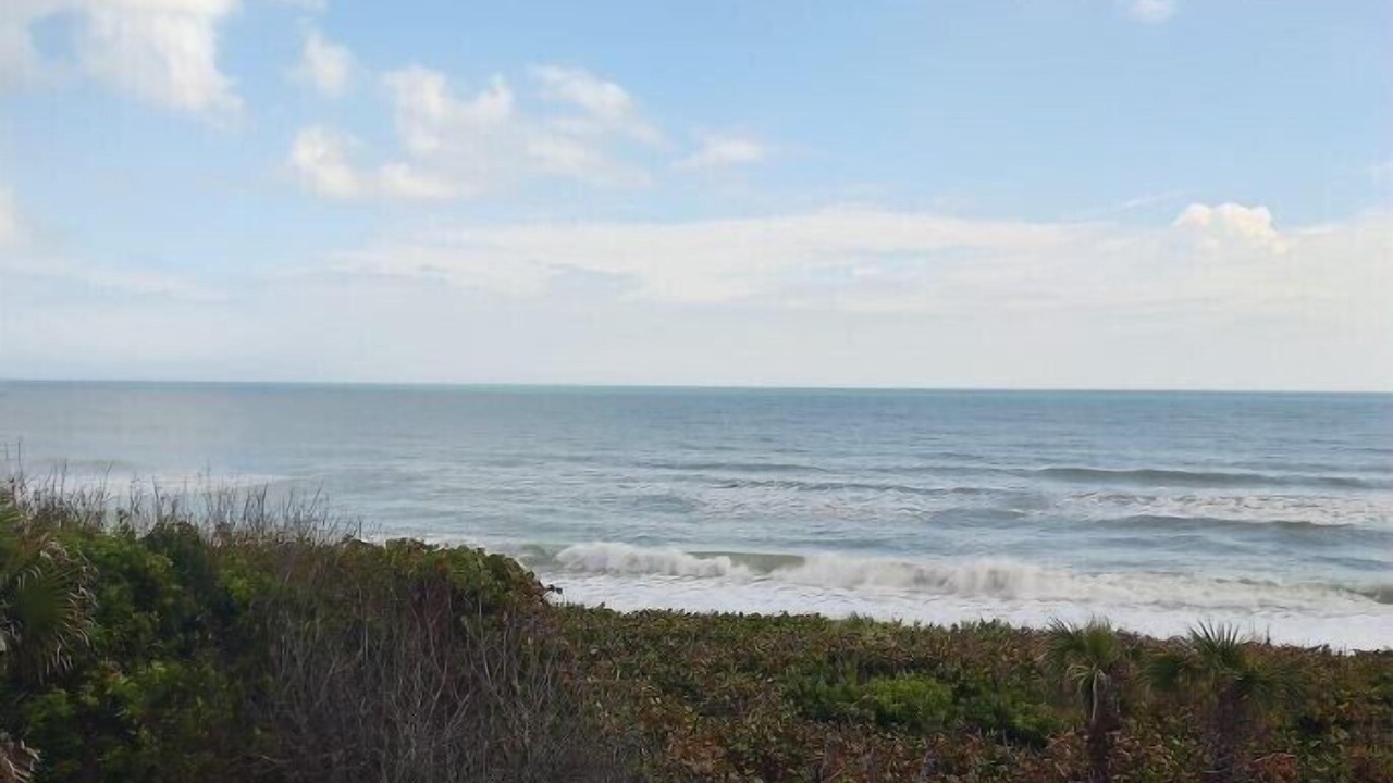 Photo of Outdoor in Melbourne Beach