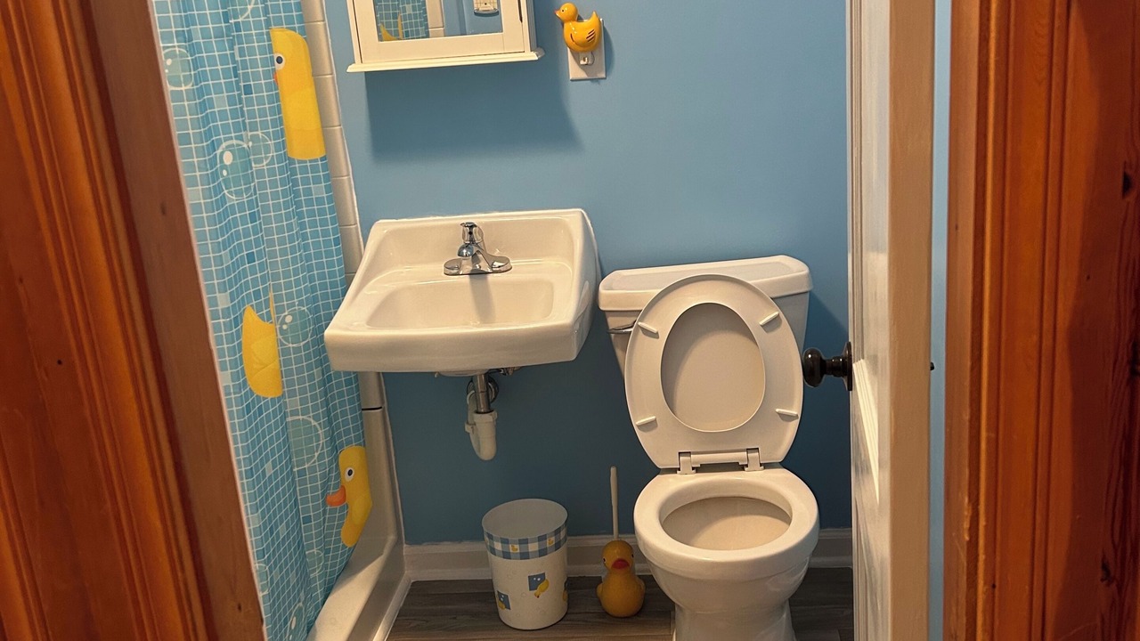 Photo of Bathroom in McCormick