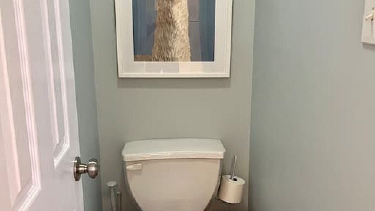Photo of Bathroom in Conestee