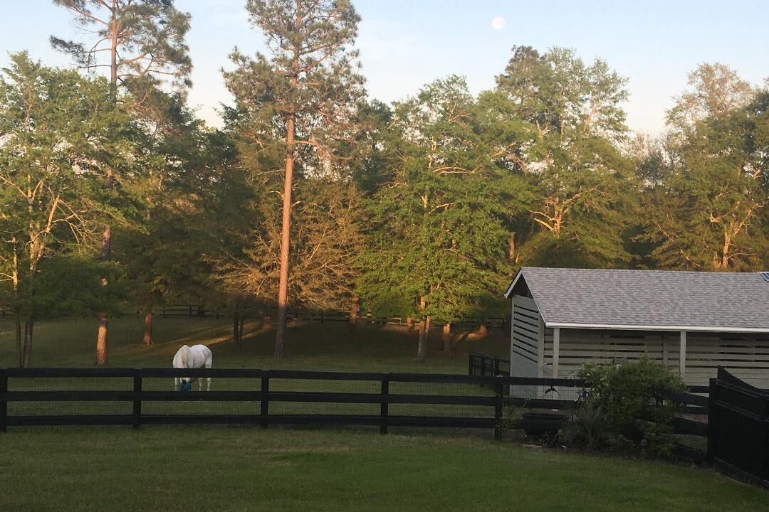Photo of Others in Aiken