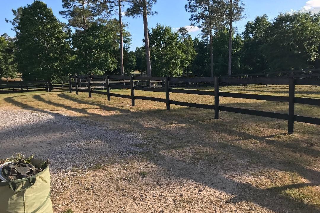 Photo of Others in Aiken
