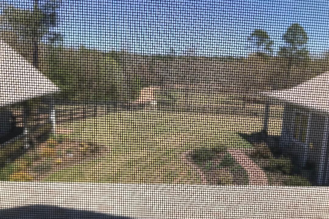 Photo of Others in Aiken