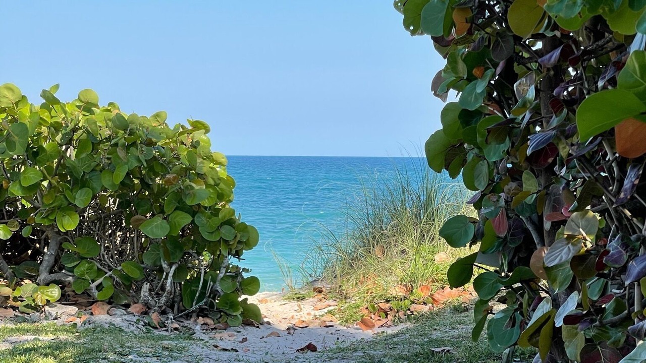 Photo of Others in Indian River Shores