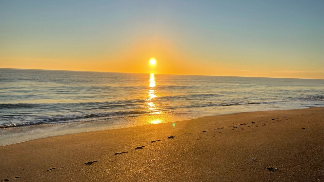 Photo of Others in Indian River Shores