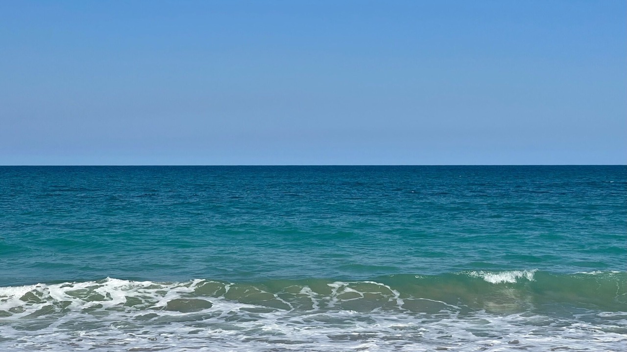 Photo of Others in Indian River Shores