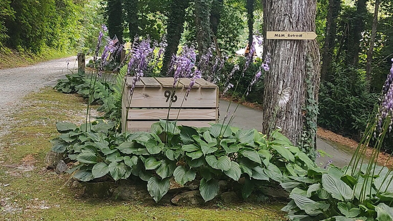 Photo of Outdoor in Cullowhee