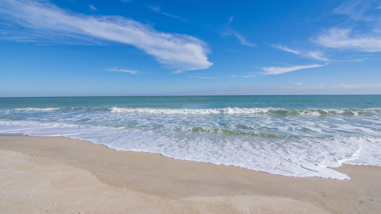Photo of Others in Vero Beach