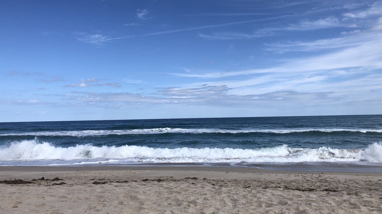 Photo of Others in New Melbourne Beach