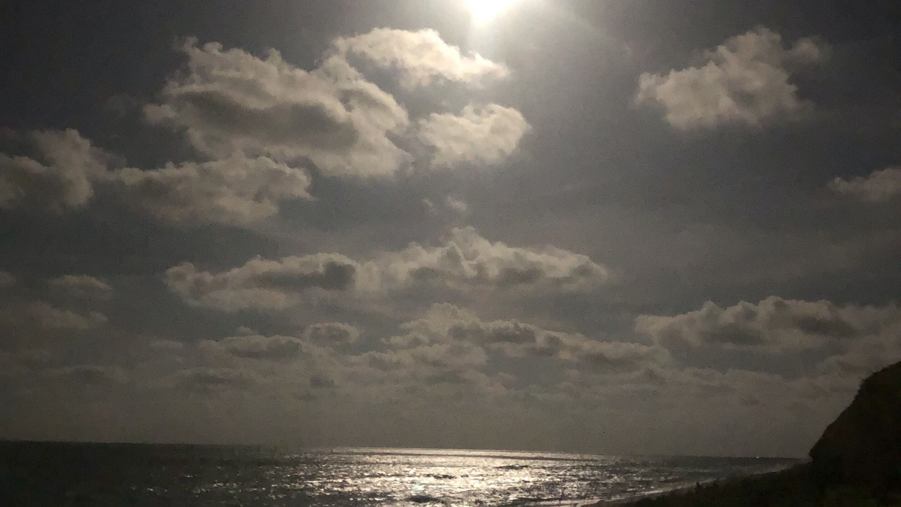 Photo of Others in New Melbourne Beach