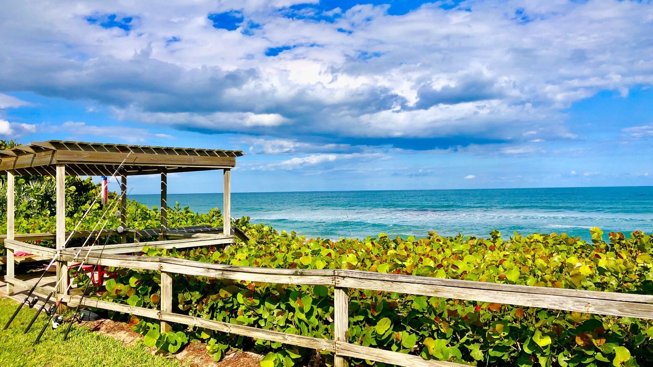 Photo of Outdoor in New Melbourne Beach