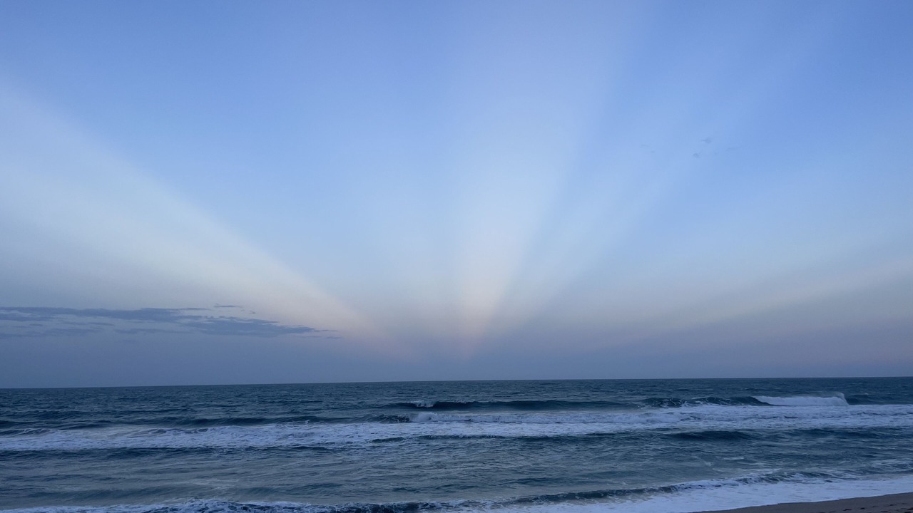 Photo of Others in Melbourne Beach