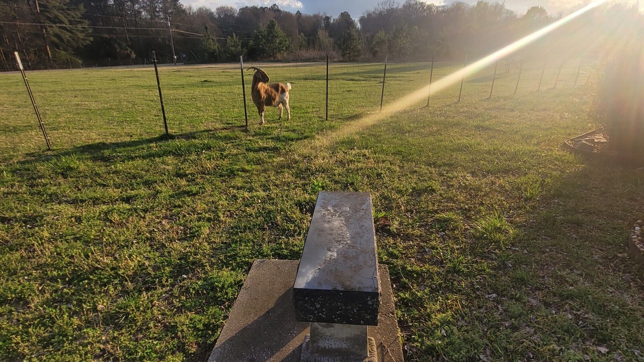 Photo of Others in Jackson County