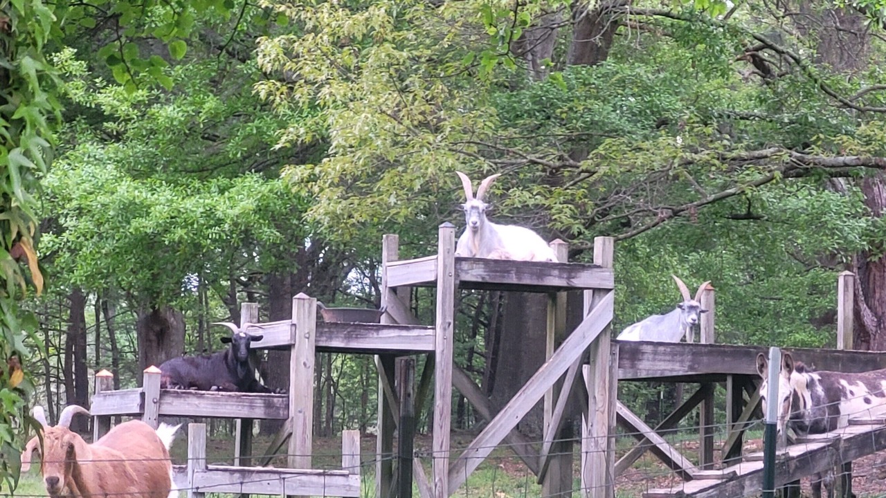 Photo of Others in Jackson County