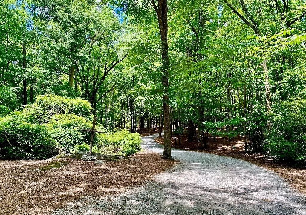 Photo of Outdoor in Evans