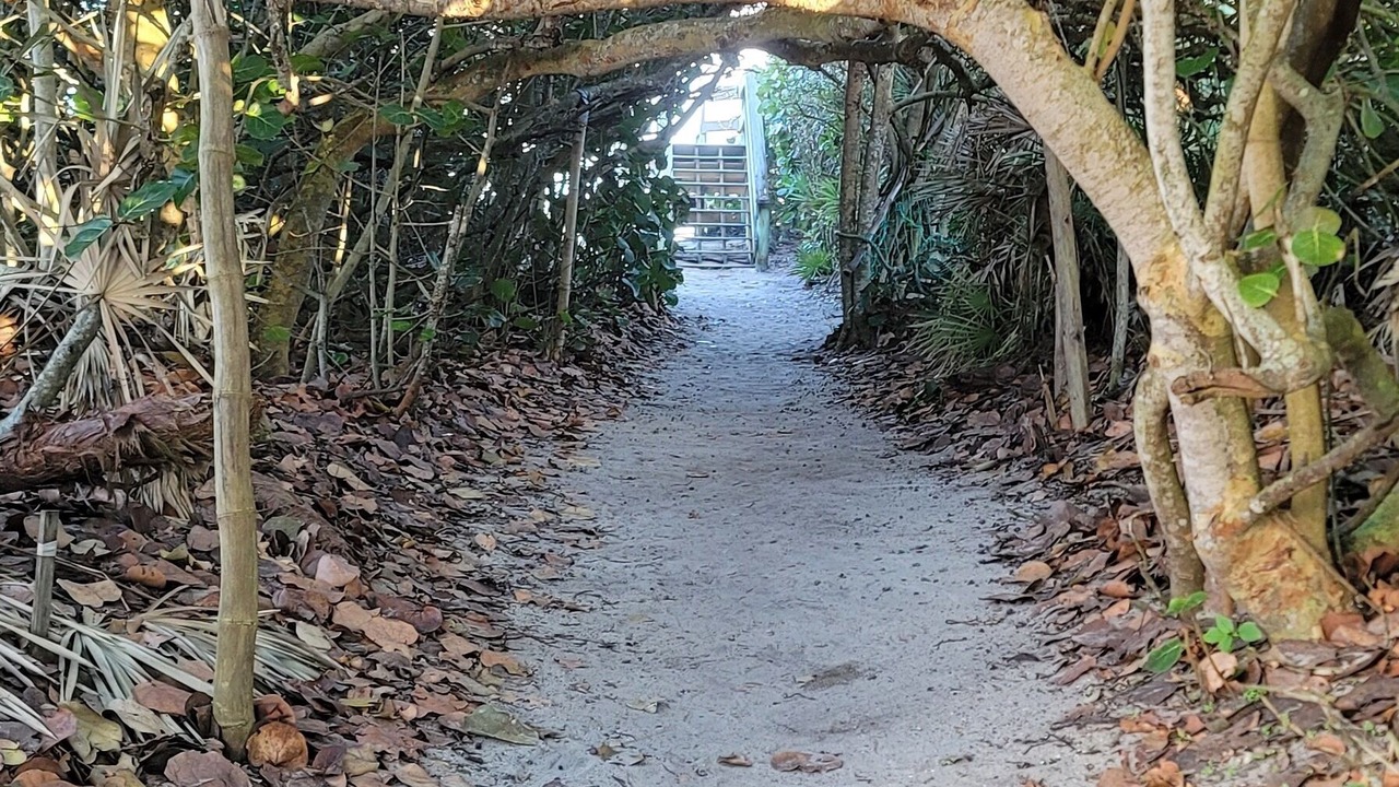 Photo of Others in Melbourne Beach