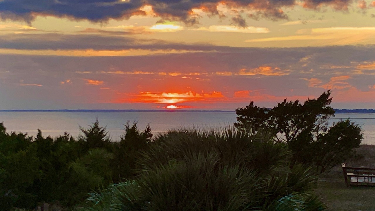Photo of Others in Edisto Island
