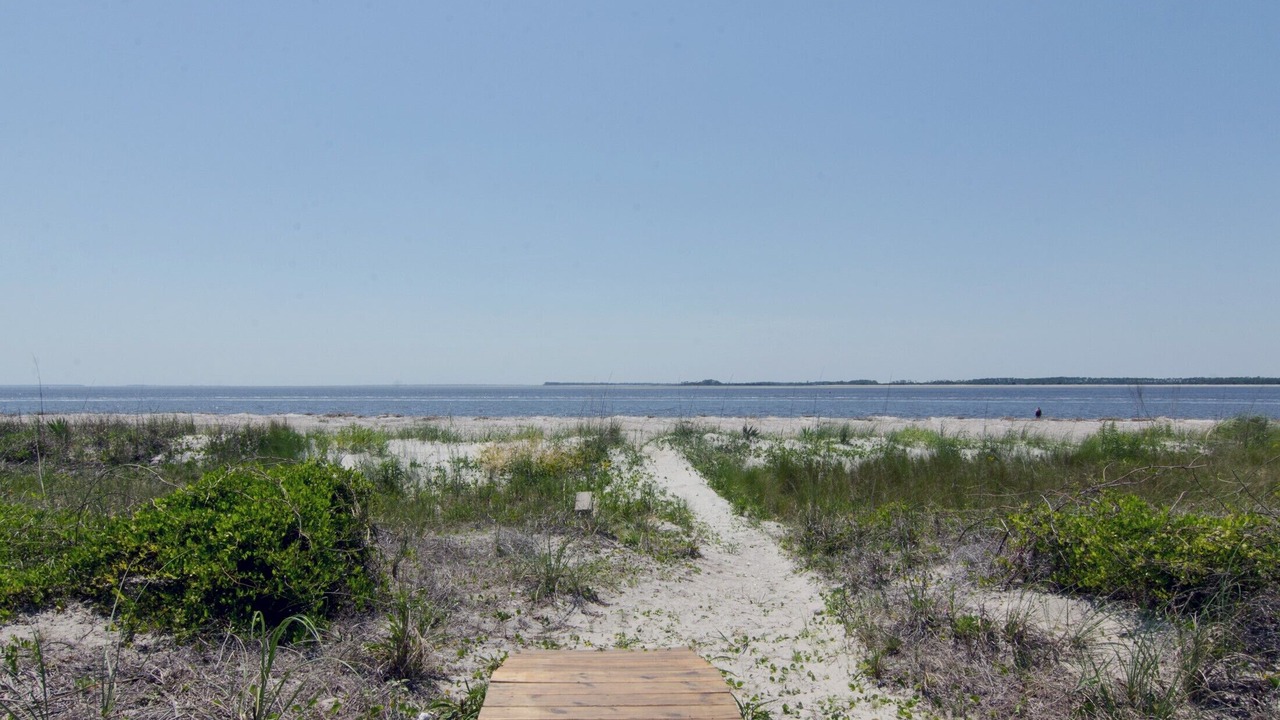 Photo of Others in Edisto Island