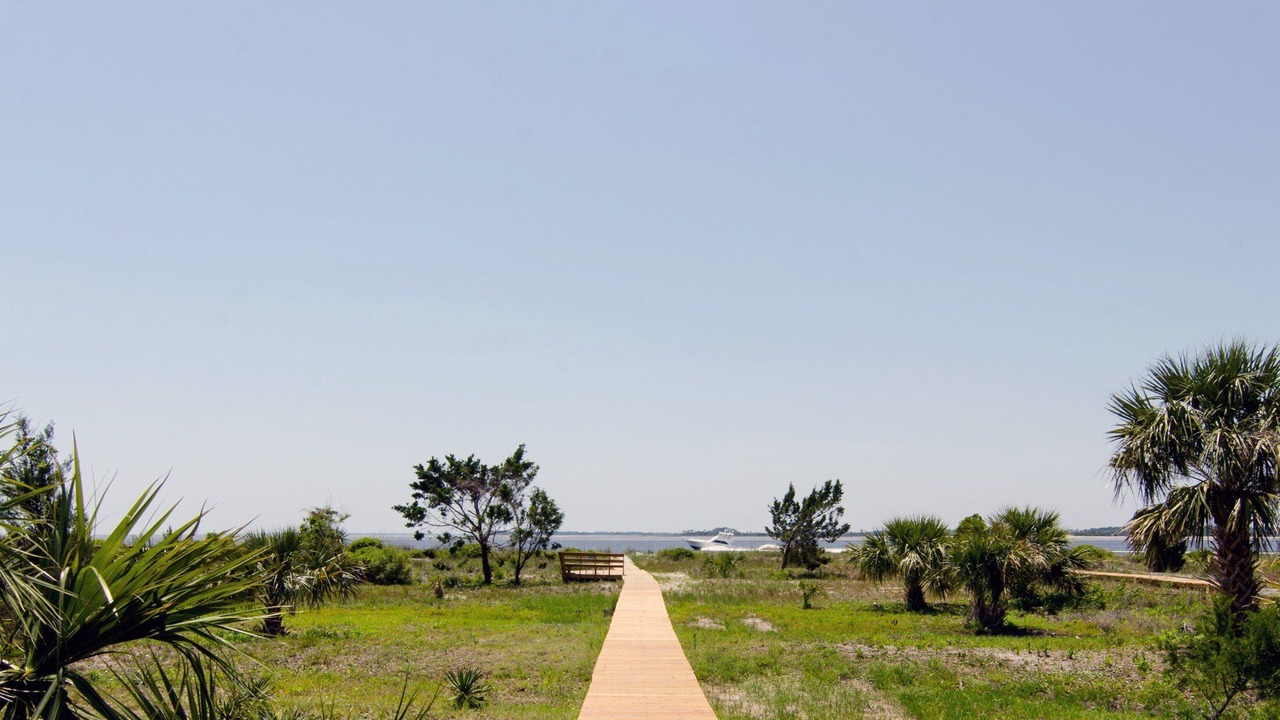 Photo of Others in Edisto Island