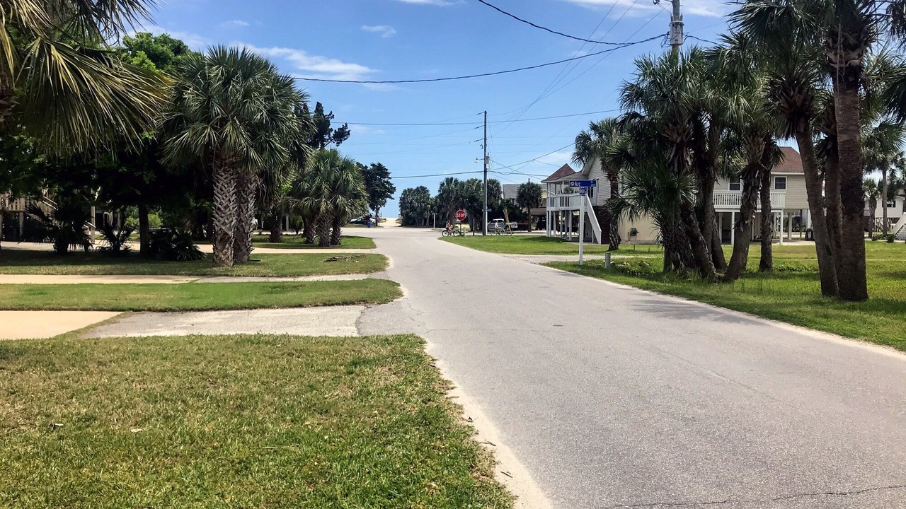 Photo of Others in Edisto Island