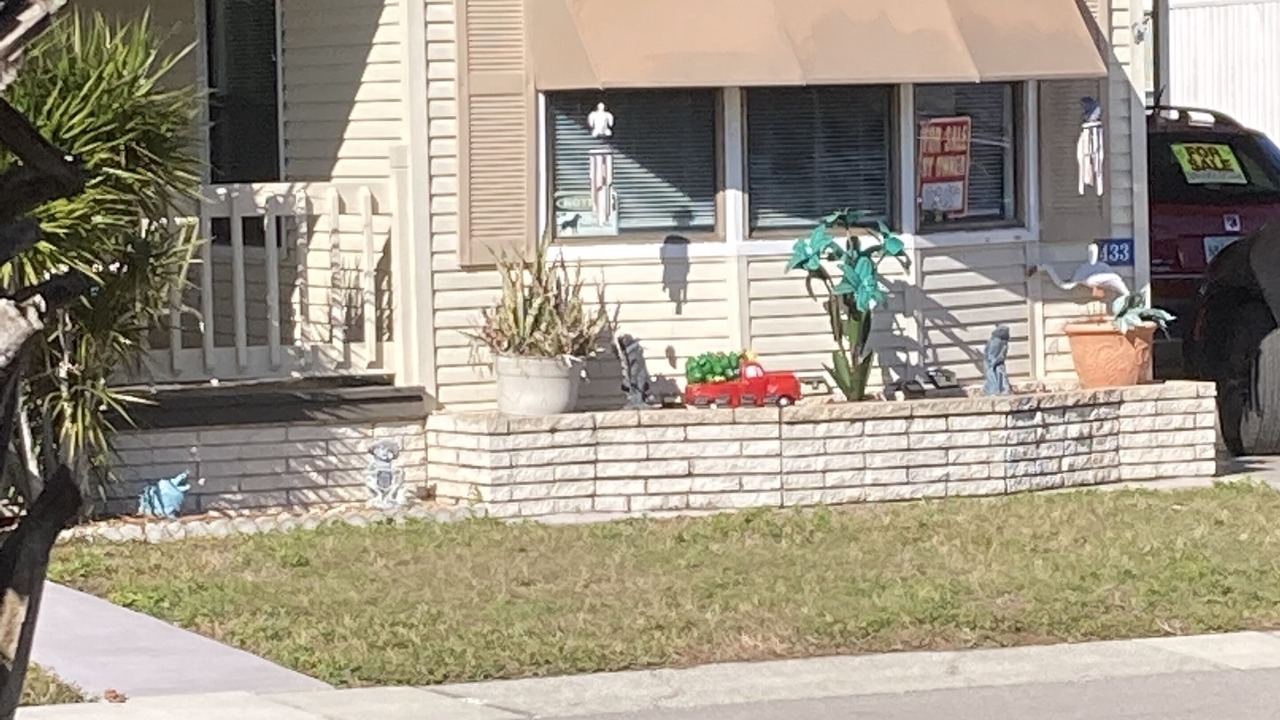Photo of Outdoor in Palmetto