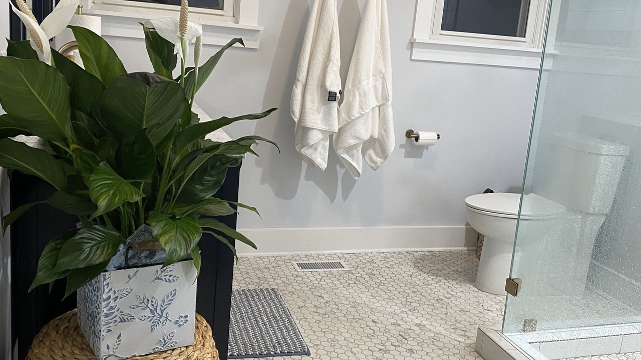 Photo of Bathroom in Swansboro