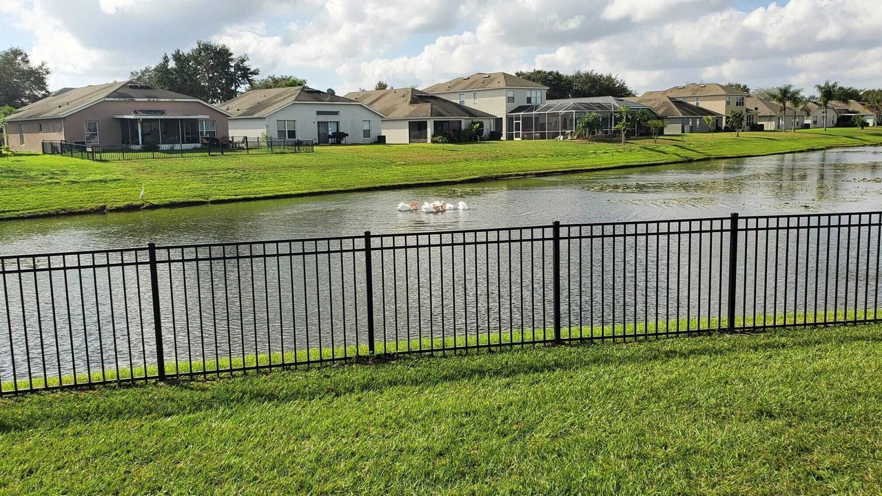 Photo of Outdoor in Riverview