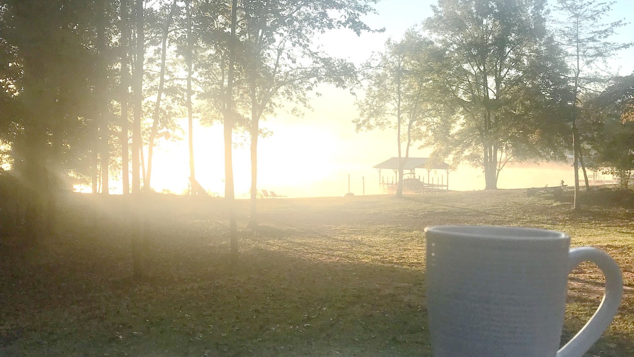Photo of Outdoor in Ninety Six
