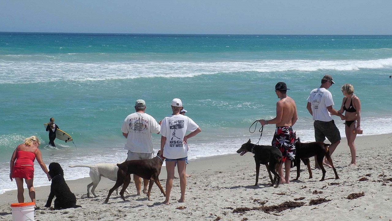 Photo of Others in Jensen Beach