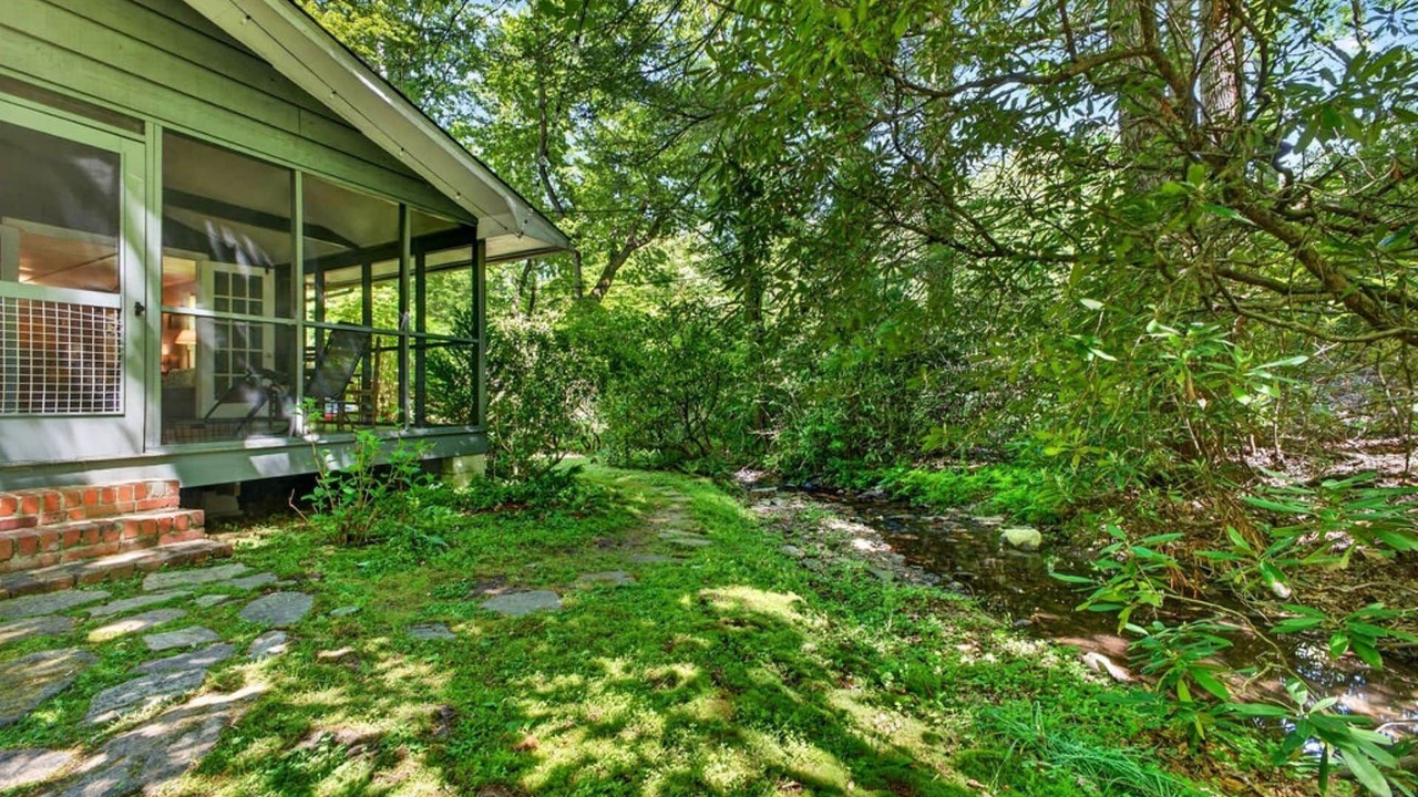 Photo of Outdoor in Pisgah Forest