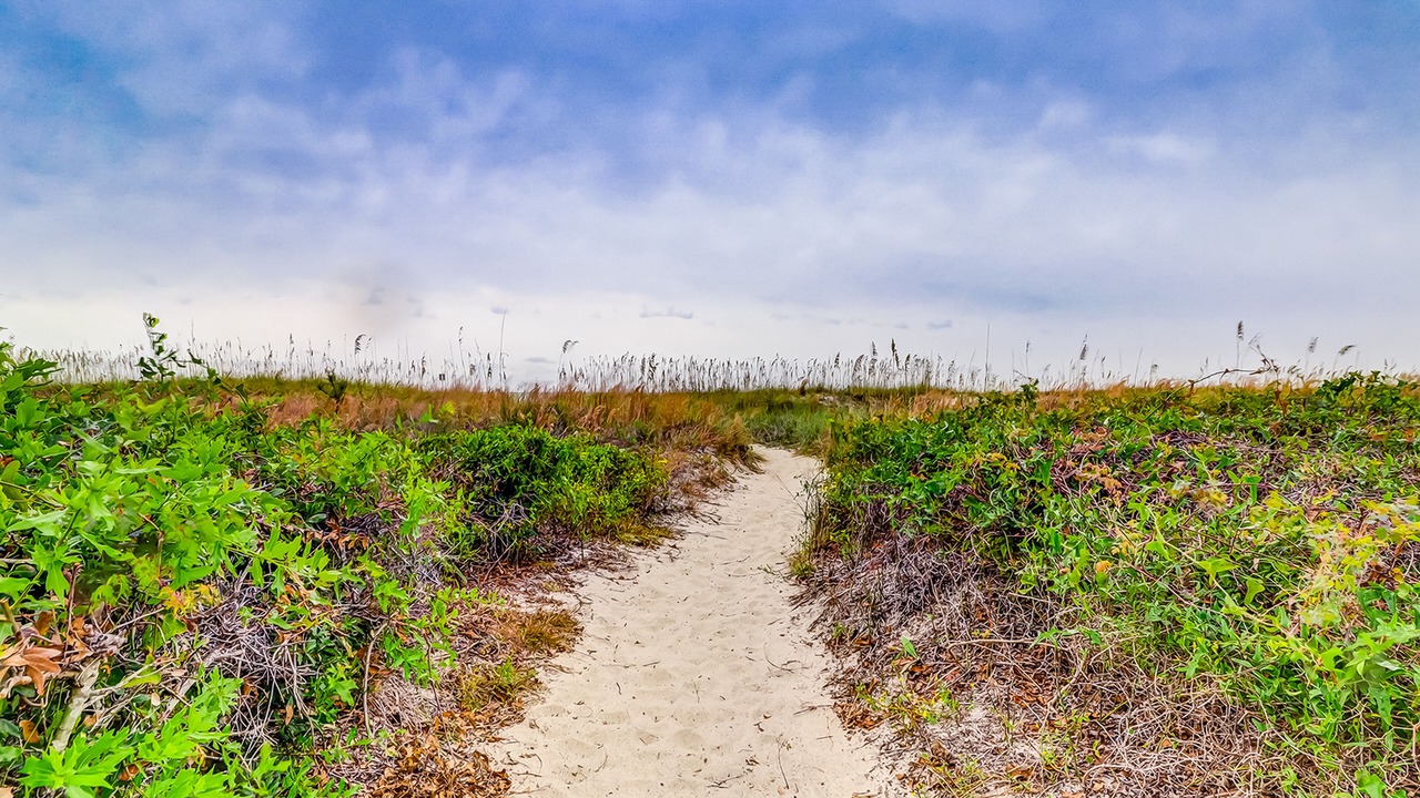 Photo of Others in Hilton Head Island